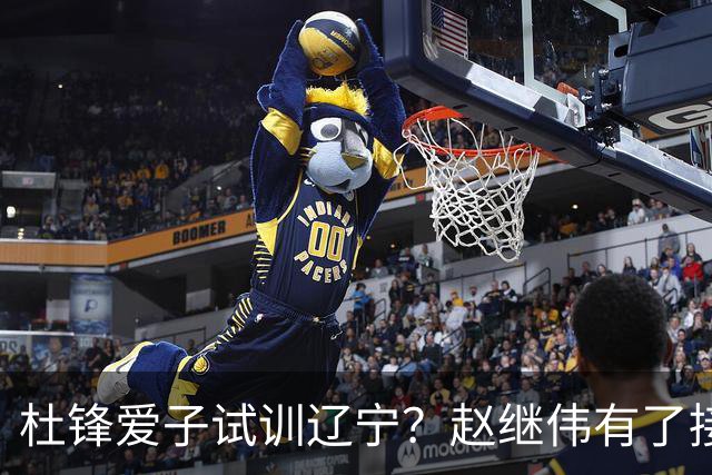 杜锋爱子试训辽宁？赵继伟有了接班人乐坏辽蜜 结果亲妈辟谣了